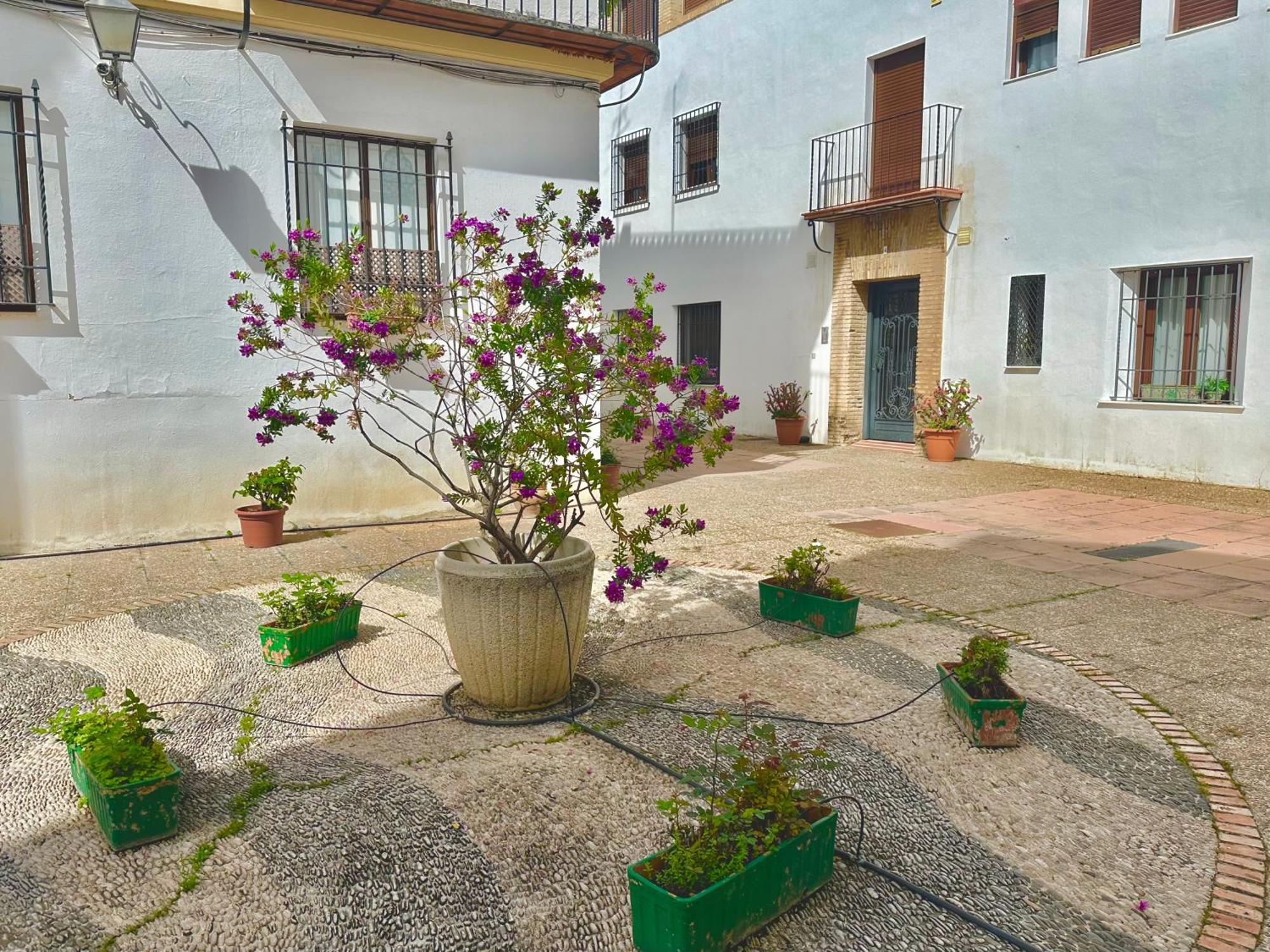 La Sacristia De San Pablo Apartment กอร์โดบา ภายนอก รูปภาพ