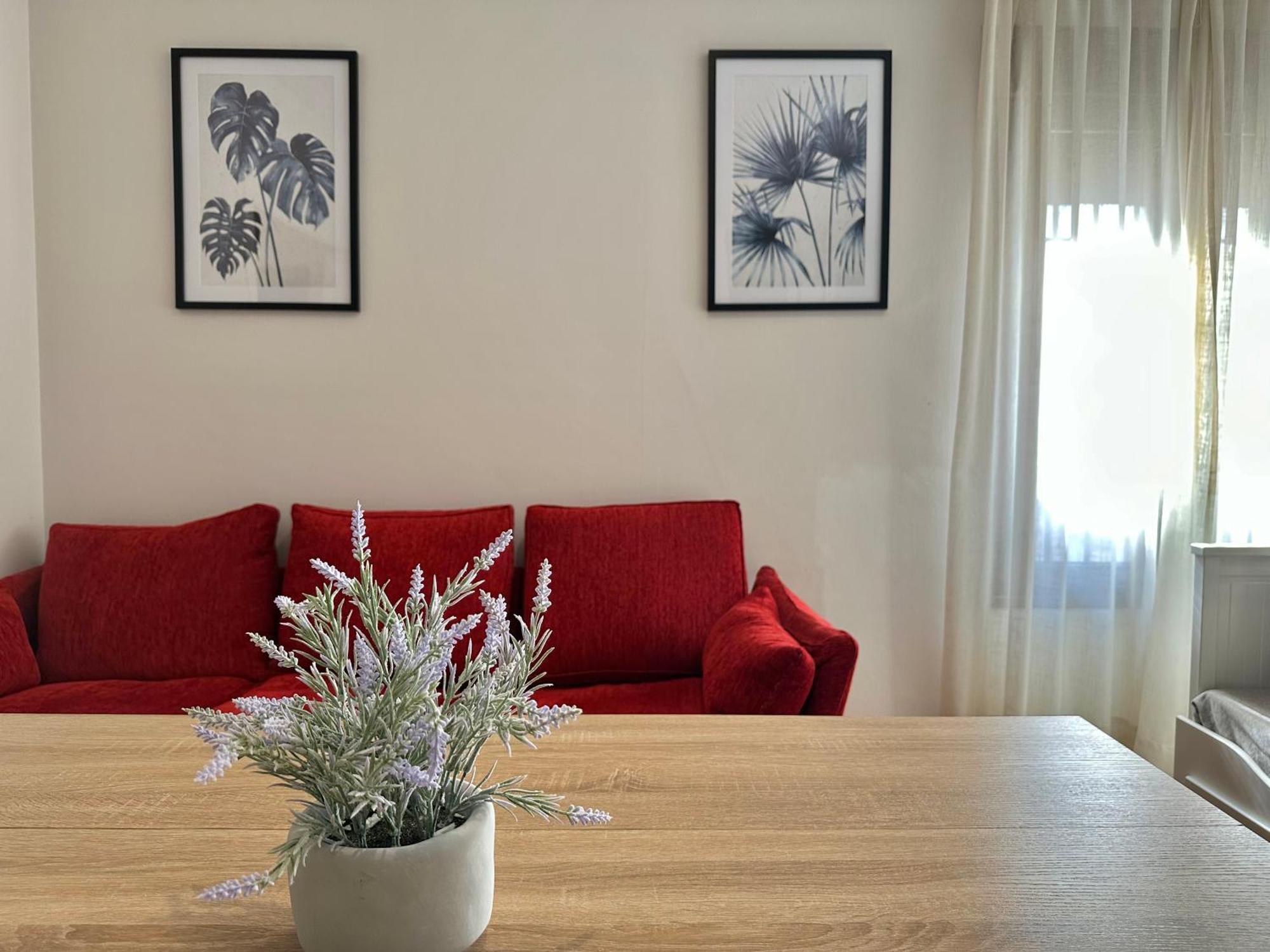 La Sacristia De San Pablo Apartment กอร์โดบา ภายนอก รูปภาพ